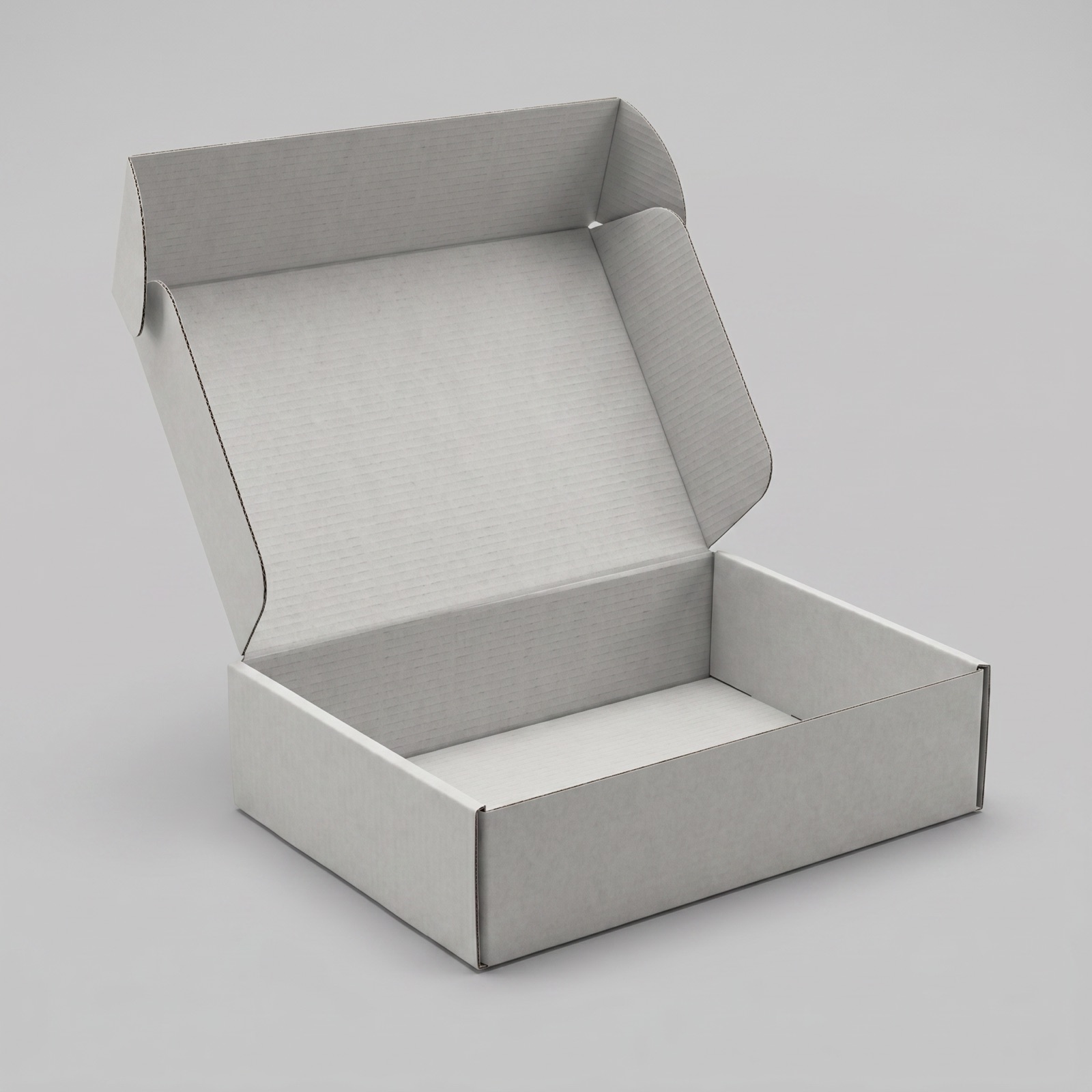 Mailer Box — angle 2