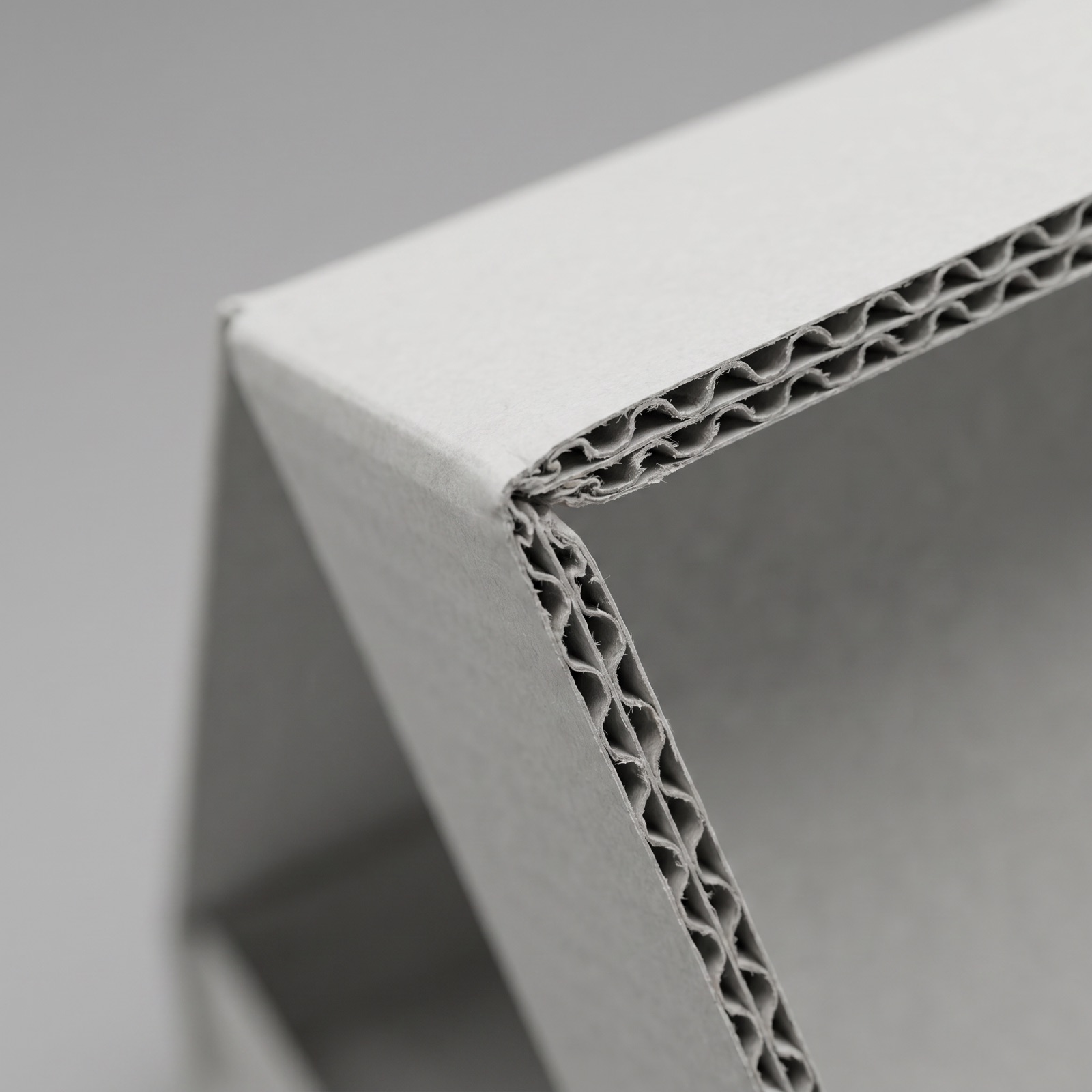Mailer Box — angle 4