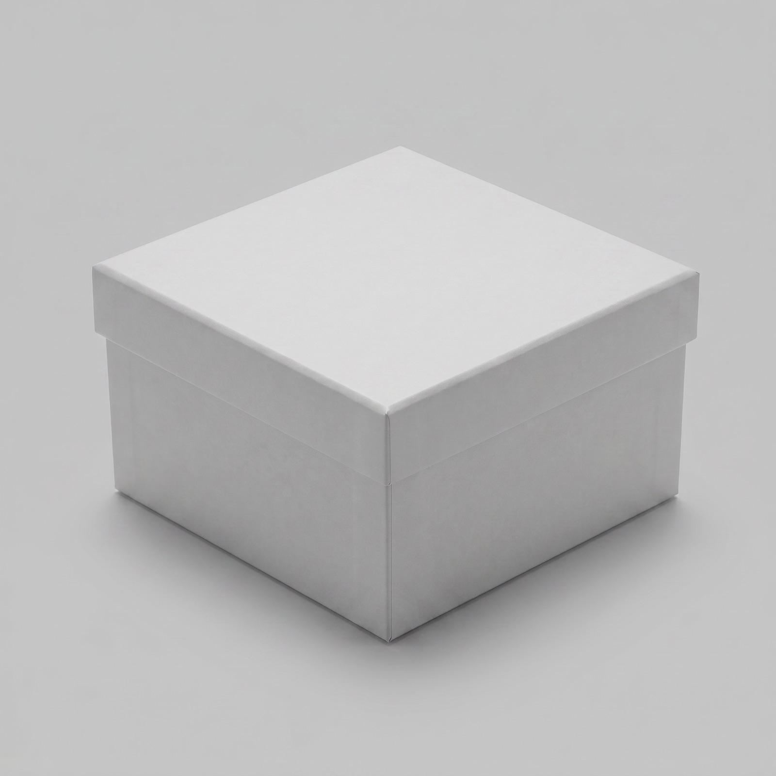 Rigid Box — angle 1
